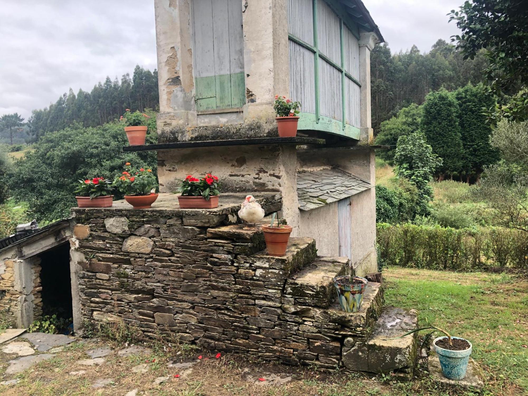 Casa De Campo Pumarada De Oirin Foz Eksteriør bilde