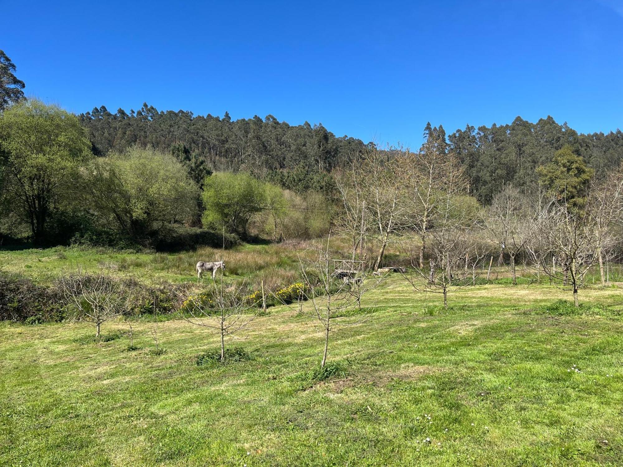 Casa De Campo Pumarada De Oirin Foz Eksteriør bilde